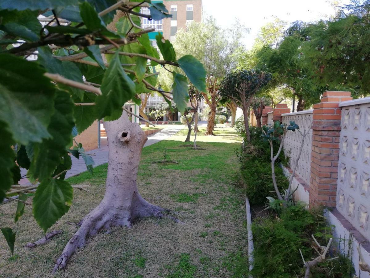מאלגה Apartamento Aurora מראה חיצוני תמונה